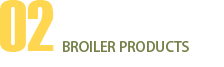 02肉仔雞